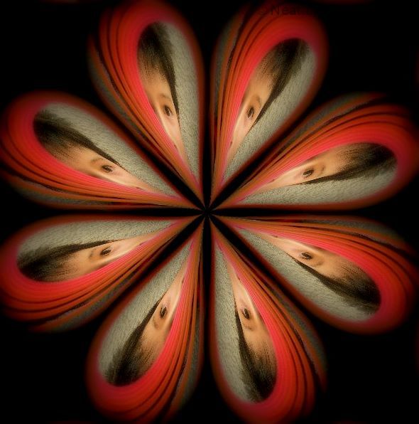 Kaleidoscope Luke