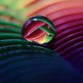 Intertwined Rainbow