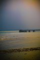 The sea shore of the city