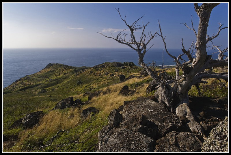 Sloping Away to the Ocean
