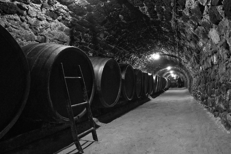The Wine Cellar