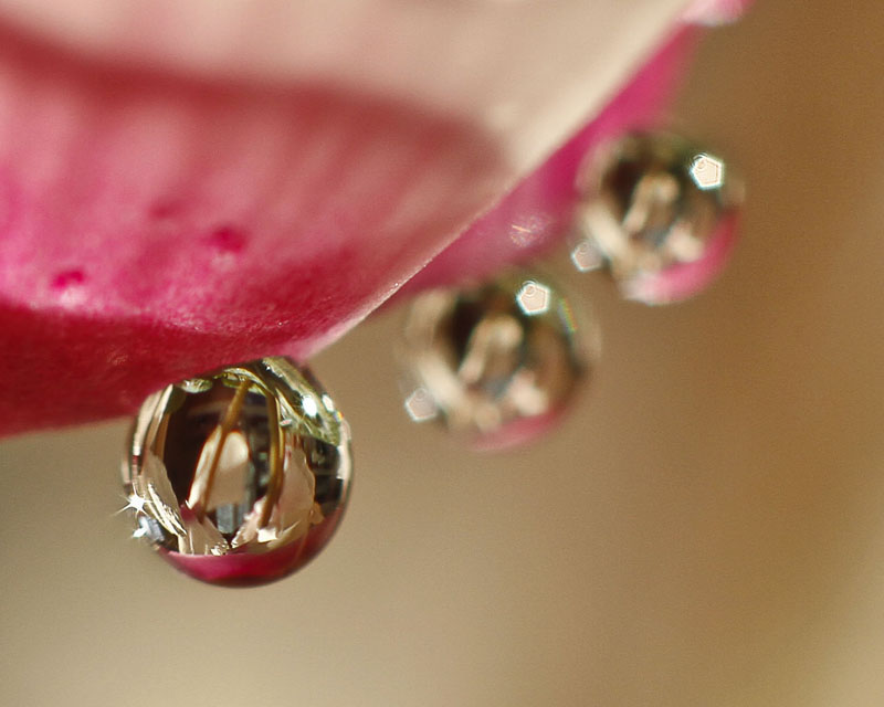 Water drops