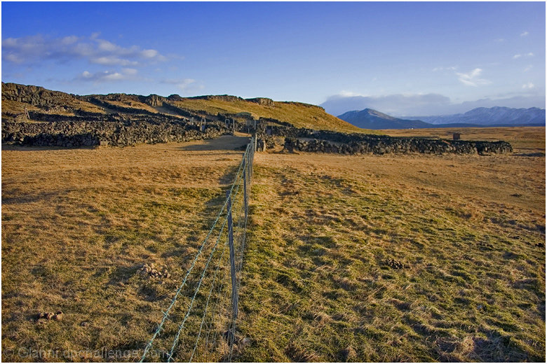 The old sheep-pen