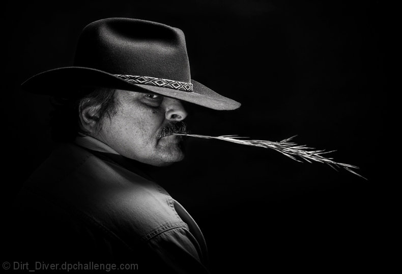 The Cowboy