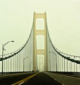 Into the Fog