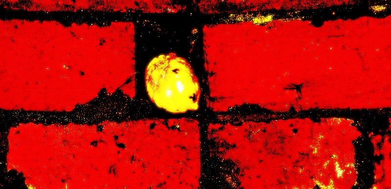 The PSYCEDELIC WALL, LIKE WOW.BLOW YOUR MIND..brown ribbon special