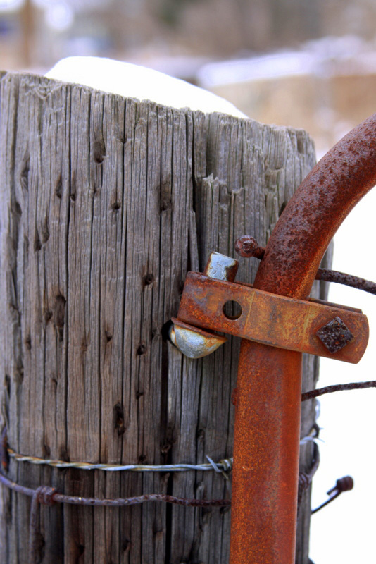 Historic farm fence