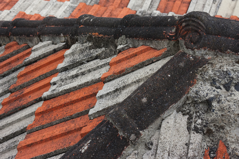 roofs of our grandfathers