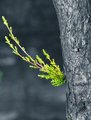 Resilience