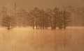 Morning Haze