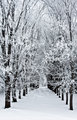 Icy Gateway