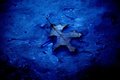 Deep Blue