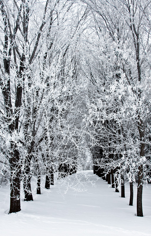 Icy Gateway