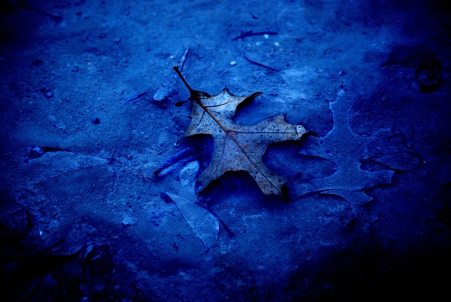 Deep Blue