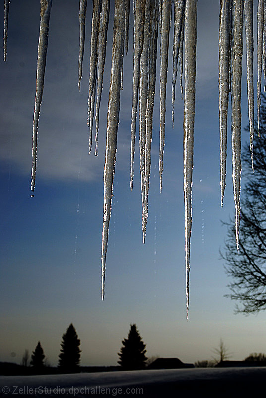 Icicles at Dusk