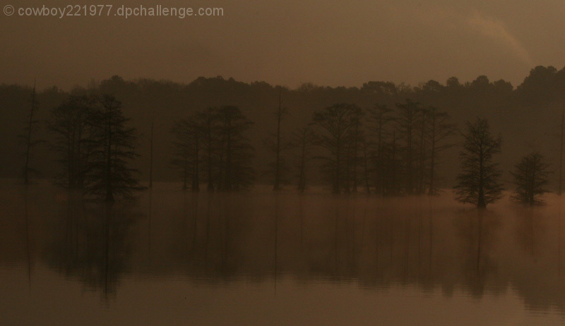 Louisiana Morning
