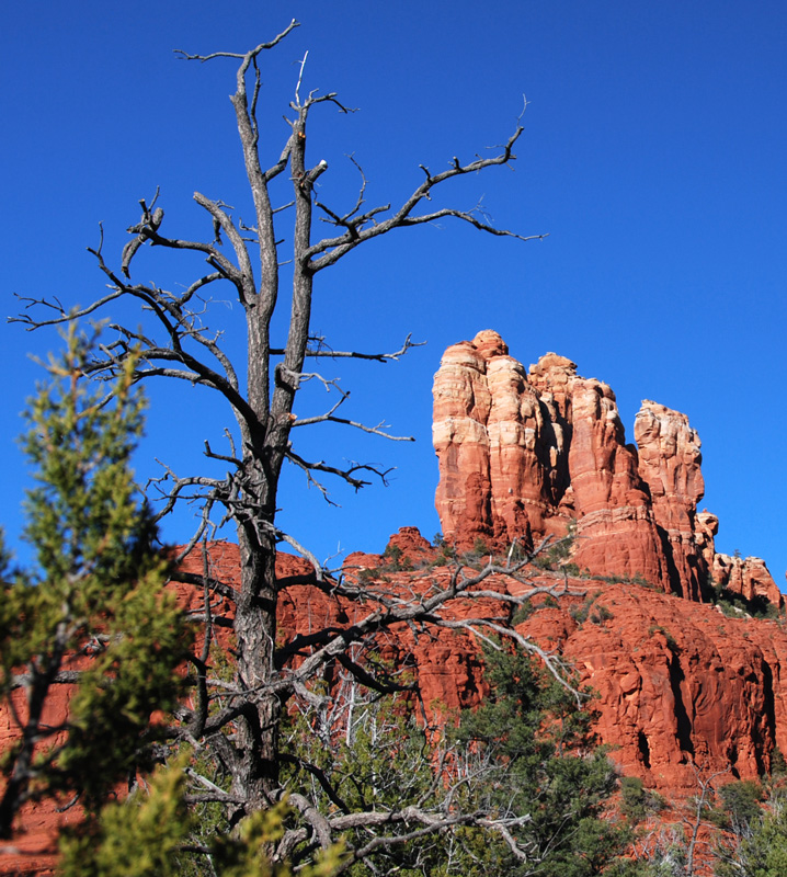 Sedona Splendor