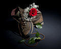 A Sordid Shoe Affair