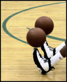 Basketball Spin Platforms