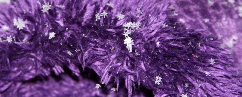 Fuzzy Purple Slippers in the Snow