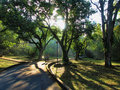 A Walk In The Garden