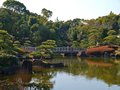 Japanese Tranquility