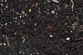 Dirt