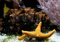 Underwater Cultivation