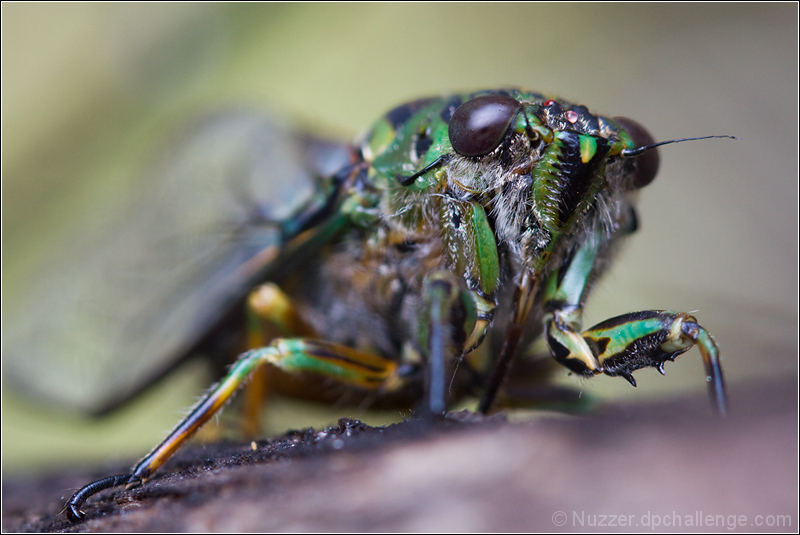 Are You Looking At Me?