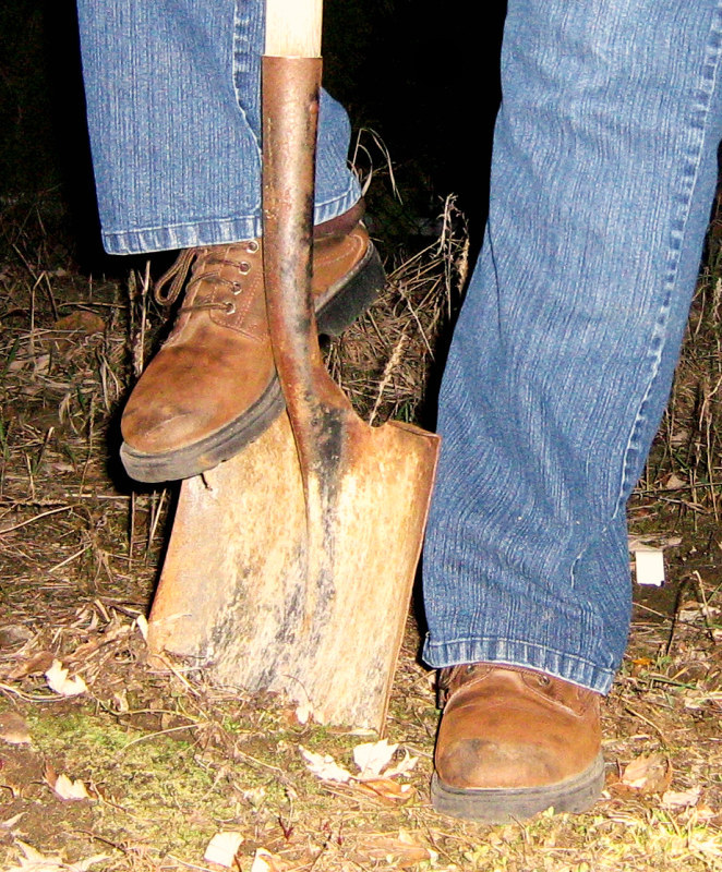 Shoveling
