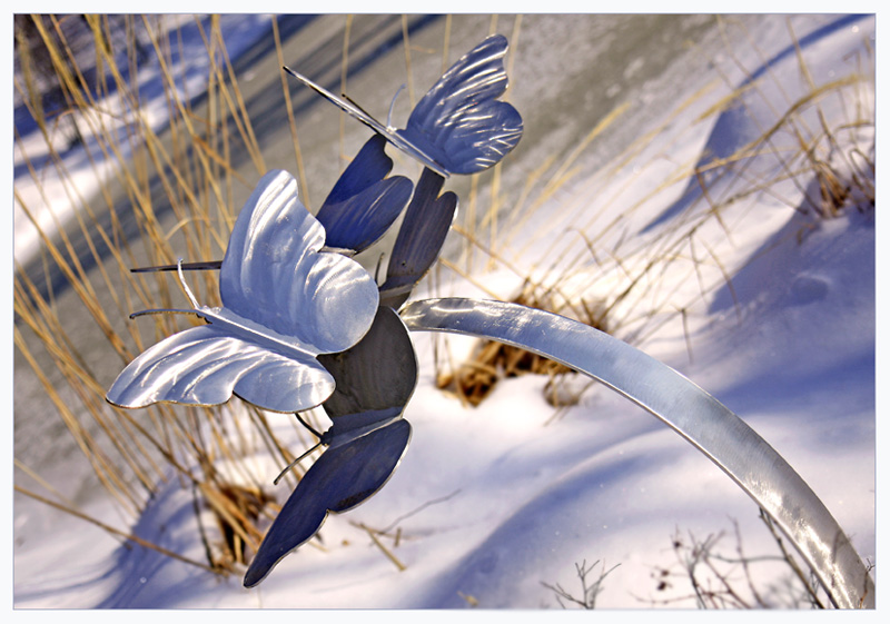 Winter Flight