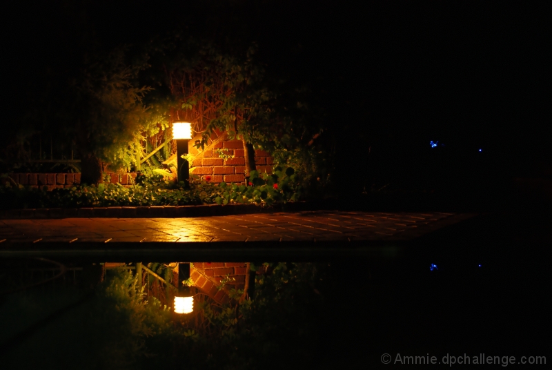 Garden at Night