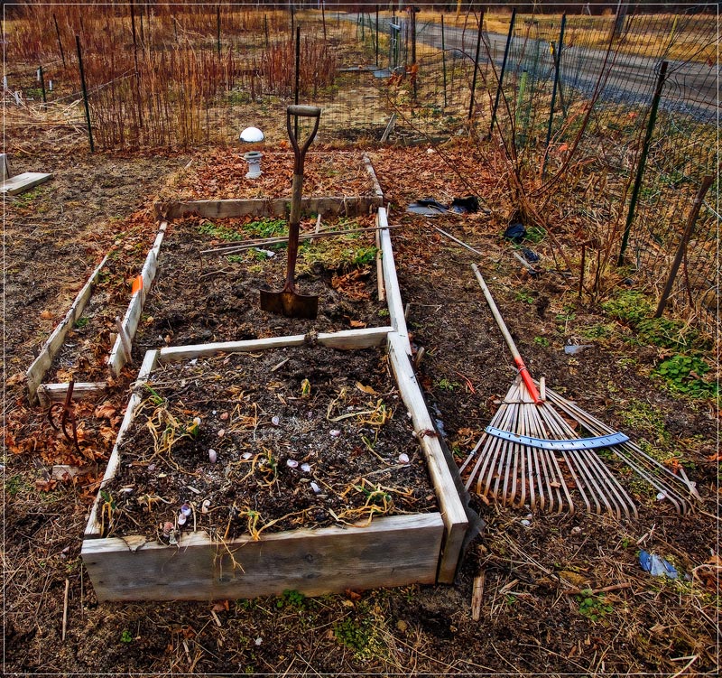 The Chronicles of Eyeronica  Winter in the Garden of Chit Rabbinton