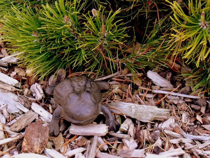 Key in the Garden