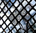 Iceframe