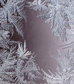 Condensation framed by Frost