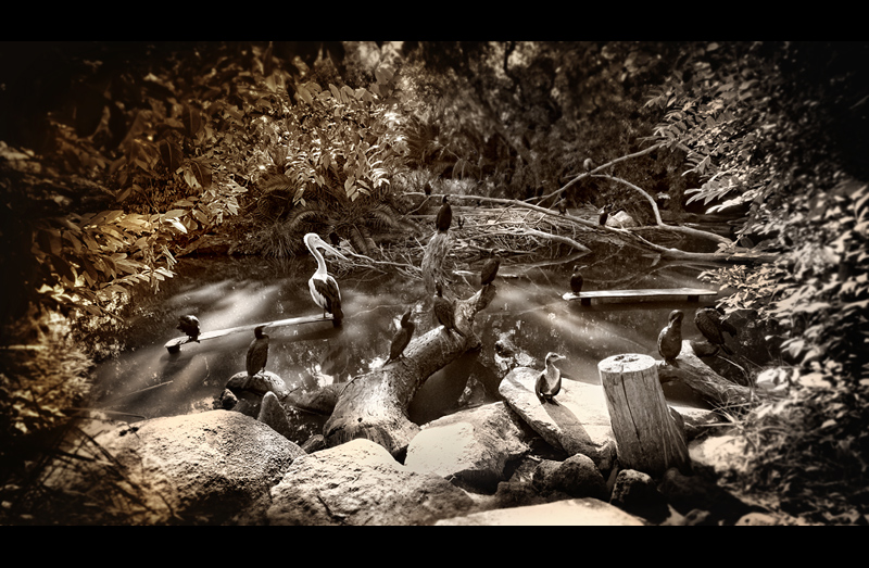 The Morning Gathering