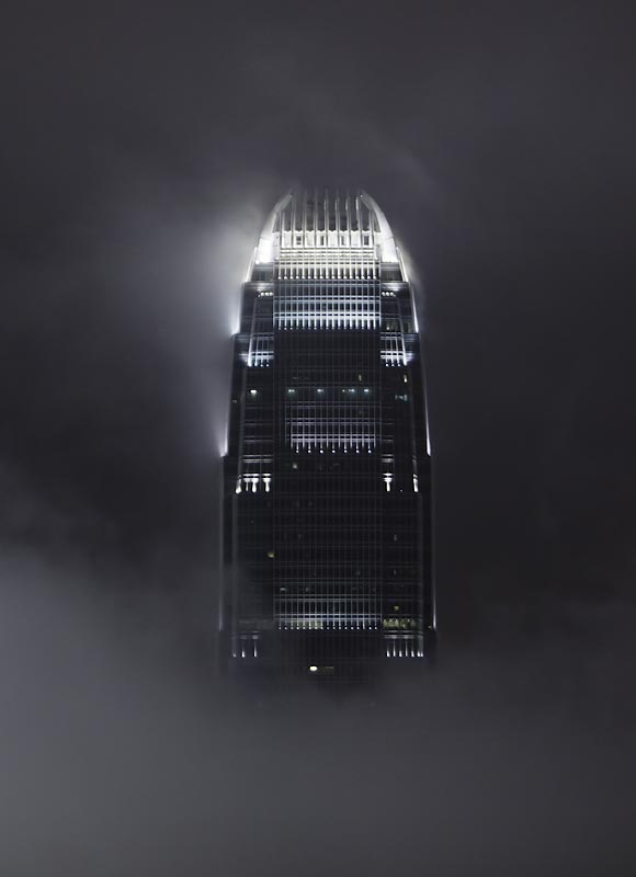 Framed by the fog