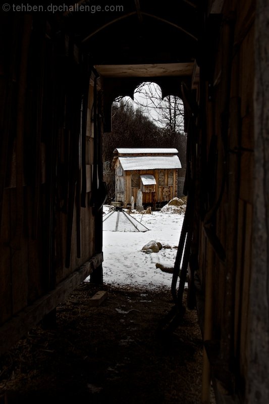 Chicken House Through Tool Shed