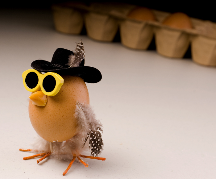 In Disguise Eggbert Sneaks Away - Lucky Break for an Egg
