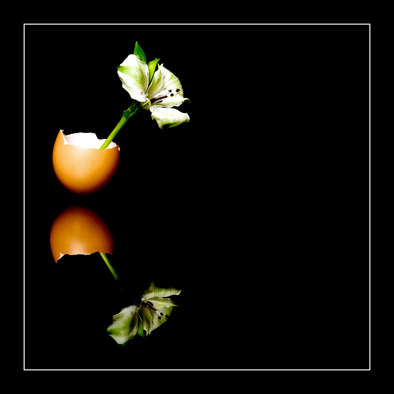 Nature's impossibility