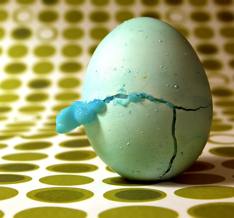 the broken egg