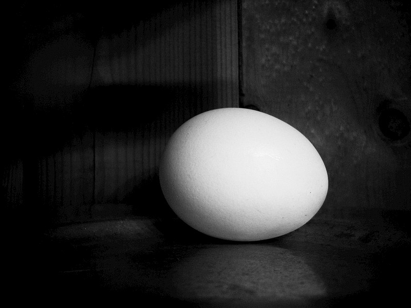 an egg