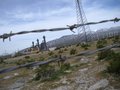 The Other Side of the Wire
