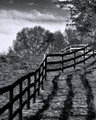 Country Ways