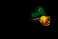 Crocodile Love