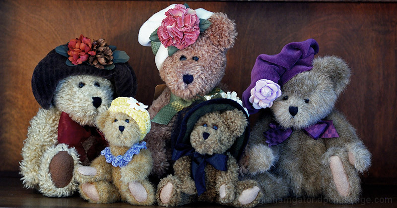 Bear Hat Society