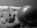 Exercise Ball with Dog, named G G Pee
