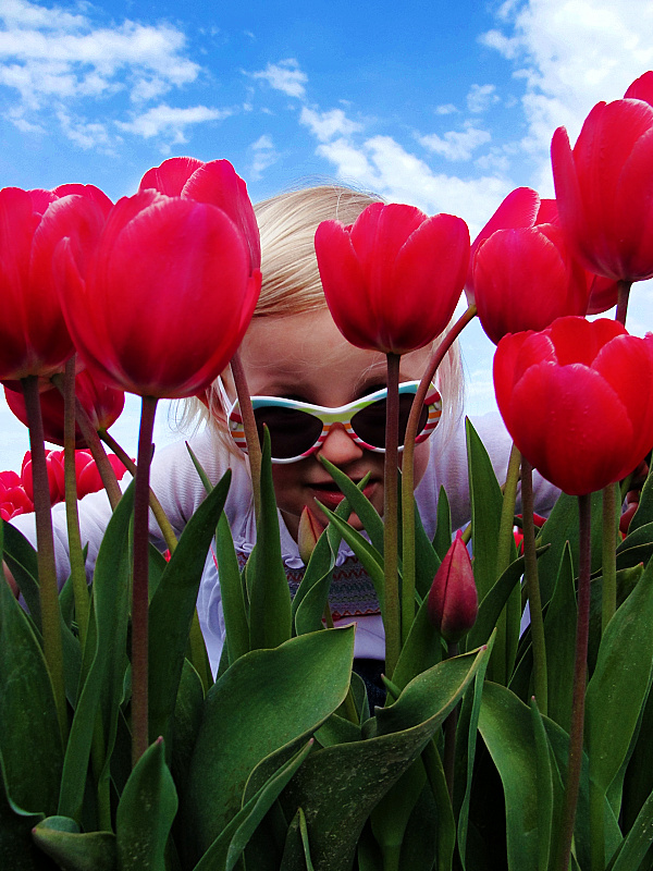 being "Chy" in the tulips (Cheyenne 2 yrs old)