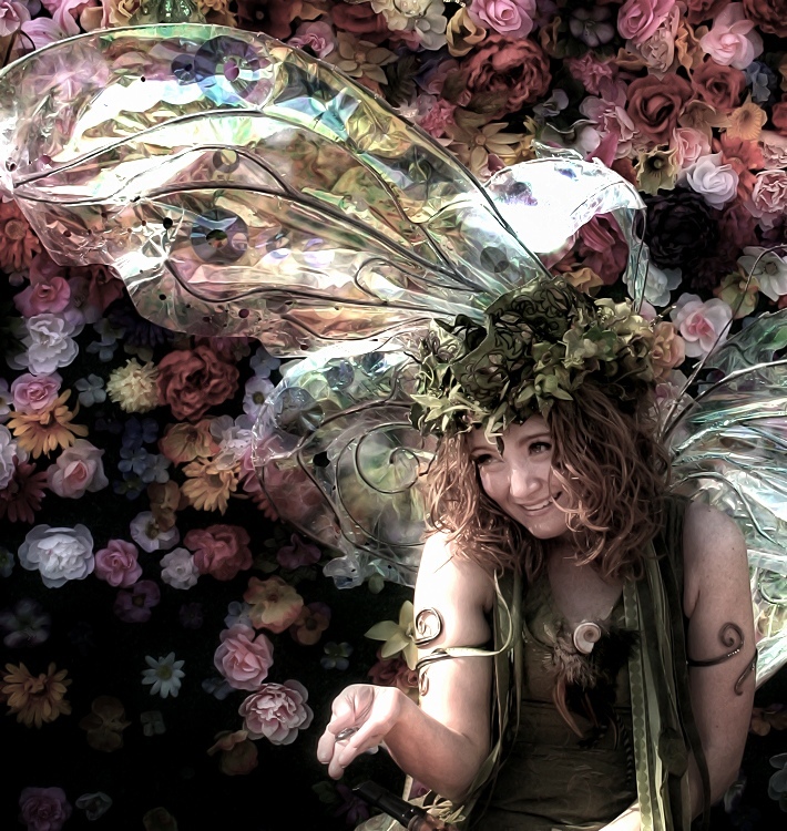 Fairy Favors